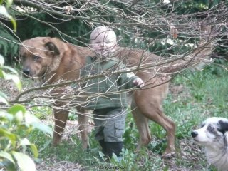 LiliBee and Lucy are hiding.