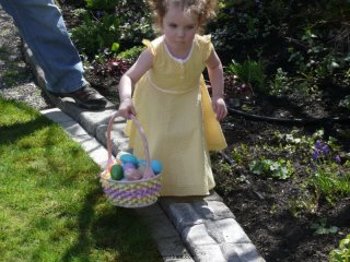 CareBear\'s overflowing basket.
