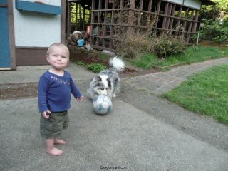 Playing with Maisy?
