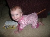 LiliBee got stuck.