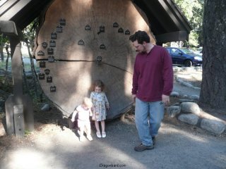 Kids with a tree.