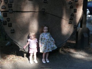 Pretty dress.