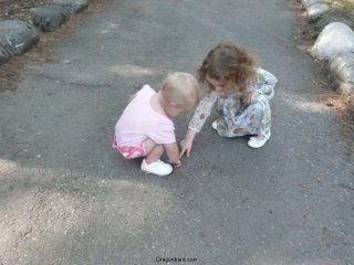 Look! A bug!