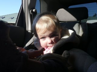 LiliBee