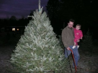 This is a good tree.