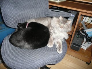 Luna snuggles.