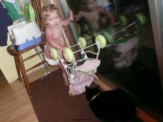 LiliBee will climb anything.