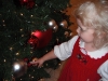 LiliBee checks out Santa\'s tree.