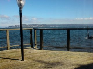 The view from our lunch date.