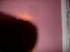 LiliBee\'s point of view.