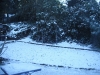 Snow in the backyard.