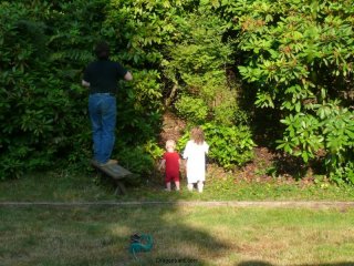 Picking berries in the back yard.