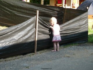 LiliBee checks on the lawn project.