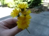 The kids gave me flowers!