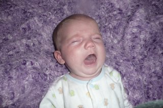 AliBoo complains.