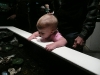 LiliBee at the aquarium.