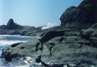 Kalaloch Rocks