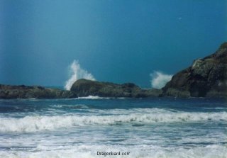 Kalaloch Rocks