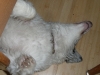 Zzzzzzz