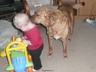 Lucy smells a snack.