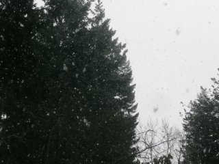 Snow!