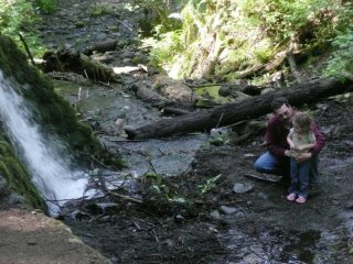 Checking out the falls.