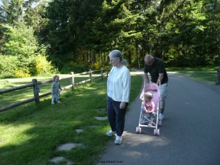 Wandering at the park.