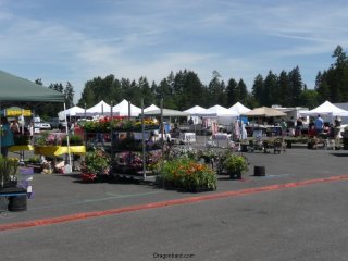 The new farmer\'s market.