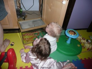 Helping Papa feed Mel.