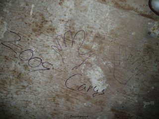 CareBear\'s hands.