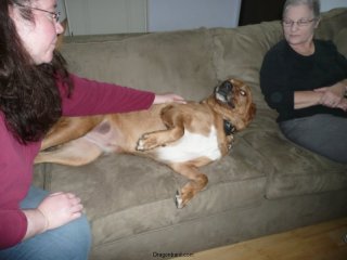 Lucy loves visitors.