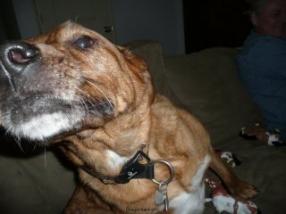 Lucy wants to kiss you.