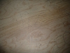 CareBear\'s feet.