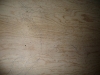 LiliBee\'s feet