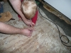 Tracing LiliBee\'s hands.