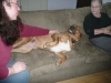 Lucy loves visitors.