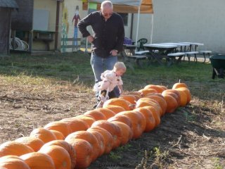 LiliBee touches a pumpkin.