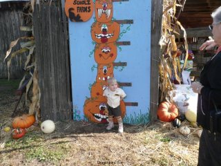 How tall is LiliBee?