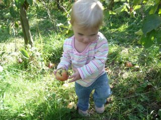 LiliBee picks an apple.