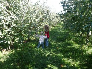 Apple pickers.