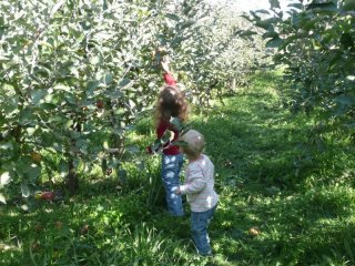 Apple pickers.