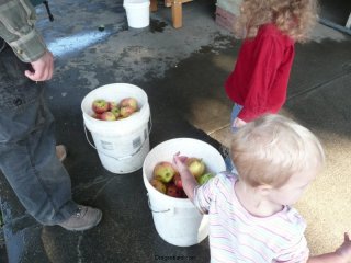 The fruits of our labor.
