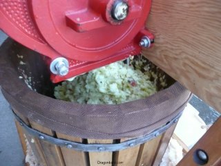 Apple mush.