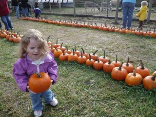 CareBear got a splinter from her pumpkin.