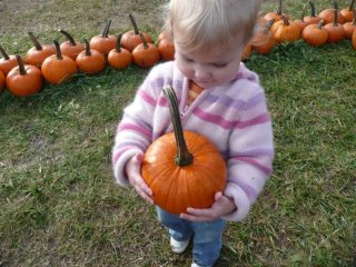 LiliBee is proud of her pumpkin.