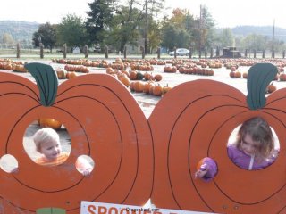 Pumpkin girls.