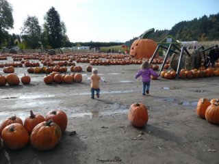 And they\'re off!
