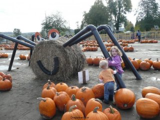 Spider attack!
