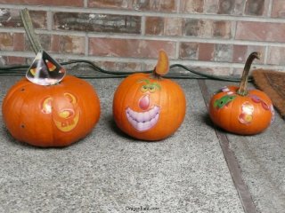 The finished pumpkins!
