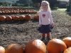 Pumpkin girl!